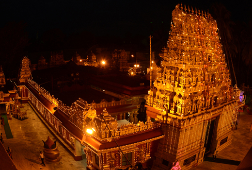 Goodudeepa pantha at Kudroli